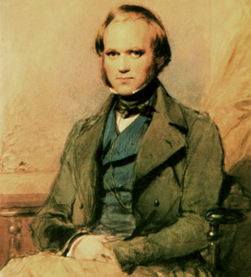 darwin_10.jpg darwin_10.jpg